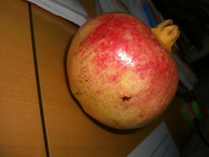 pomegranate