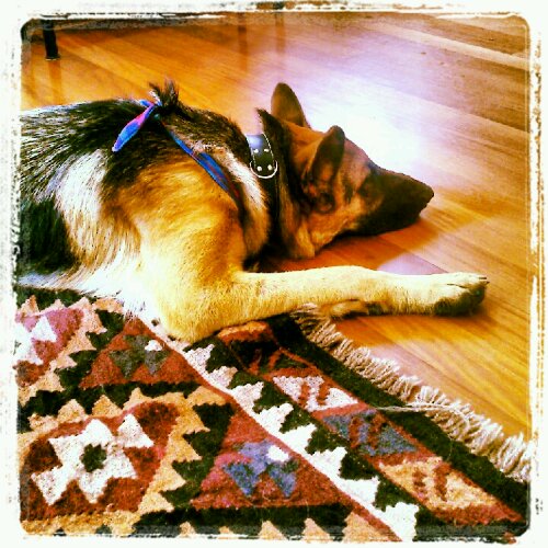 IMG_20121014_134638.jpg image