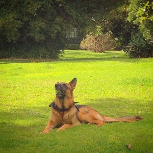 2014-10-25 09.40.34-1