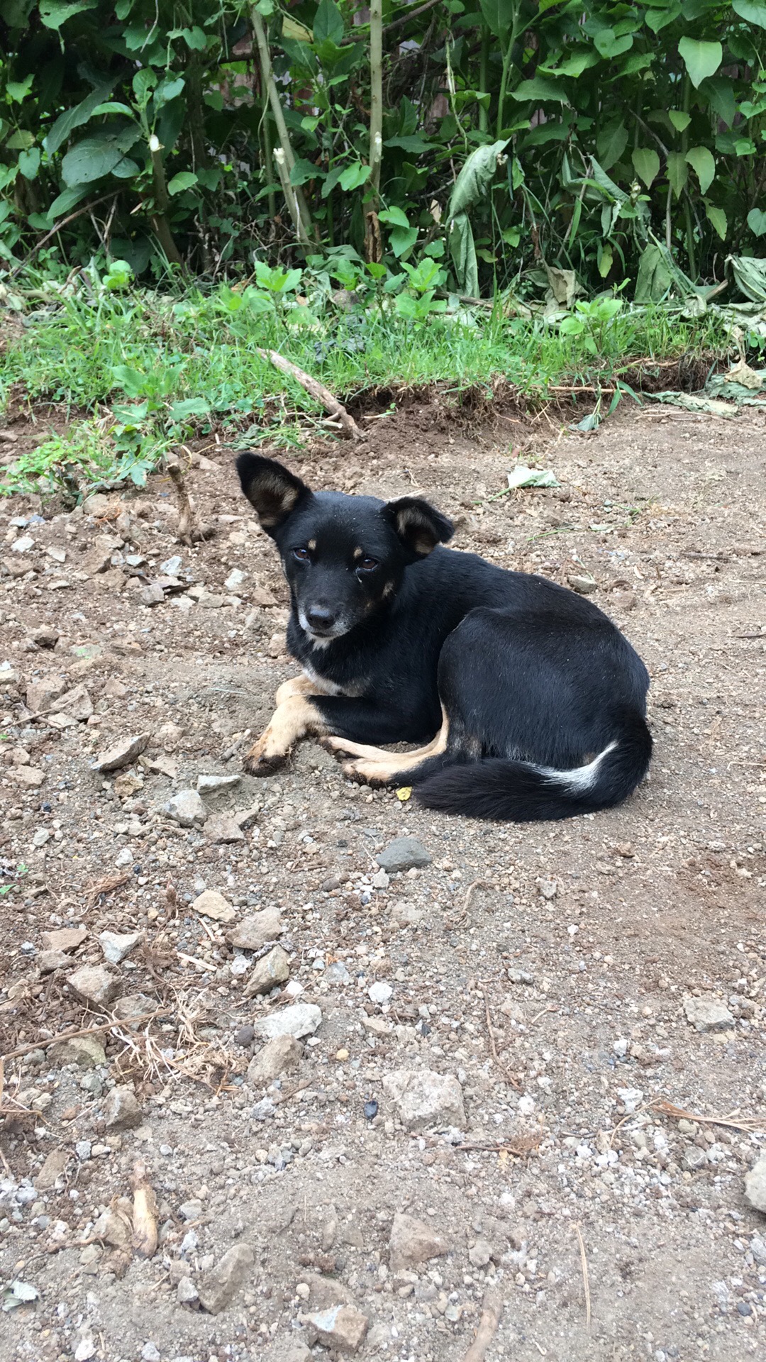 5432F23B-2613-4E52-8A6C-9CD6E405628C