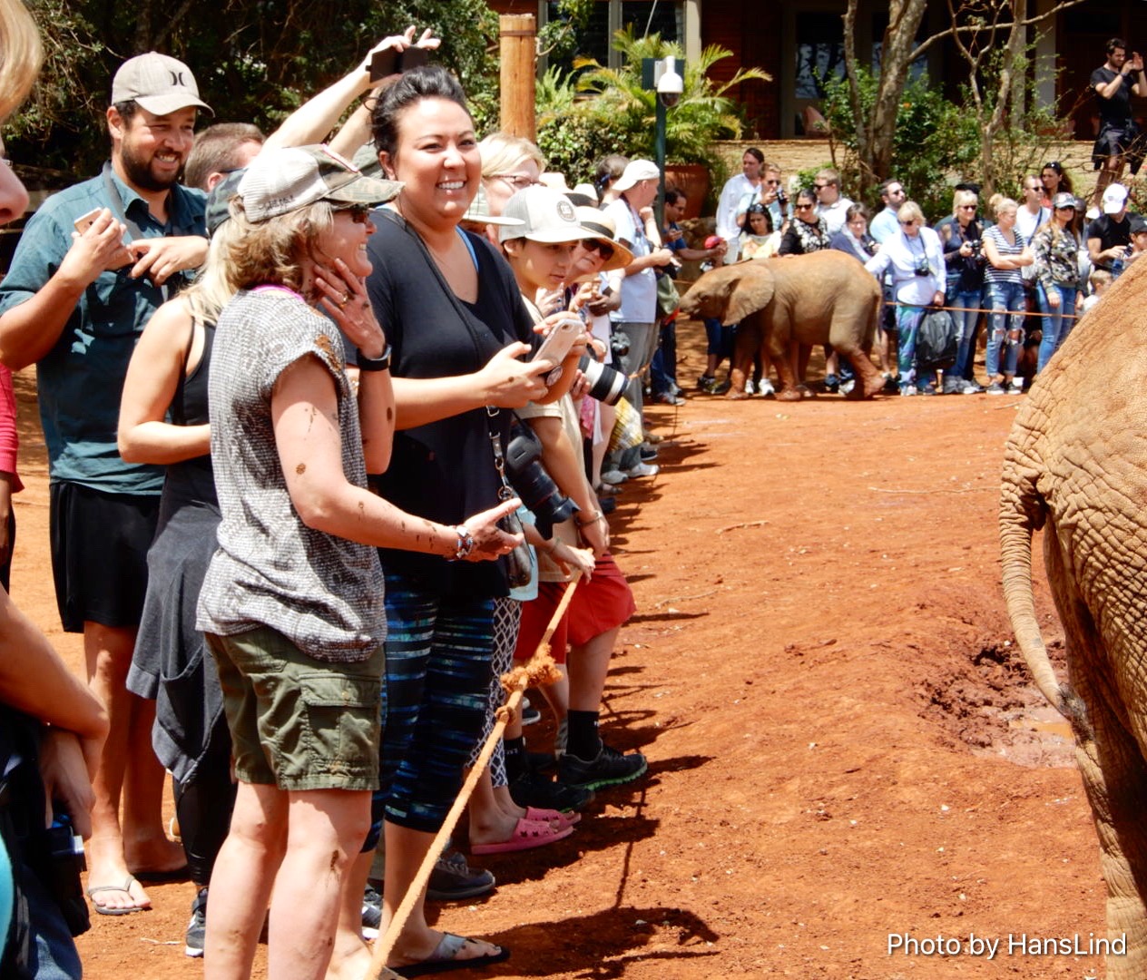 057AF4AE-22F5-450C-9ECA-4B7E0460D070