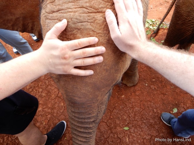 0FED34D2-2532-49B4-B60B-B89649A17D88