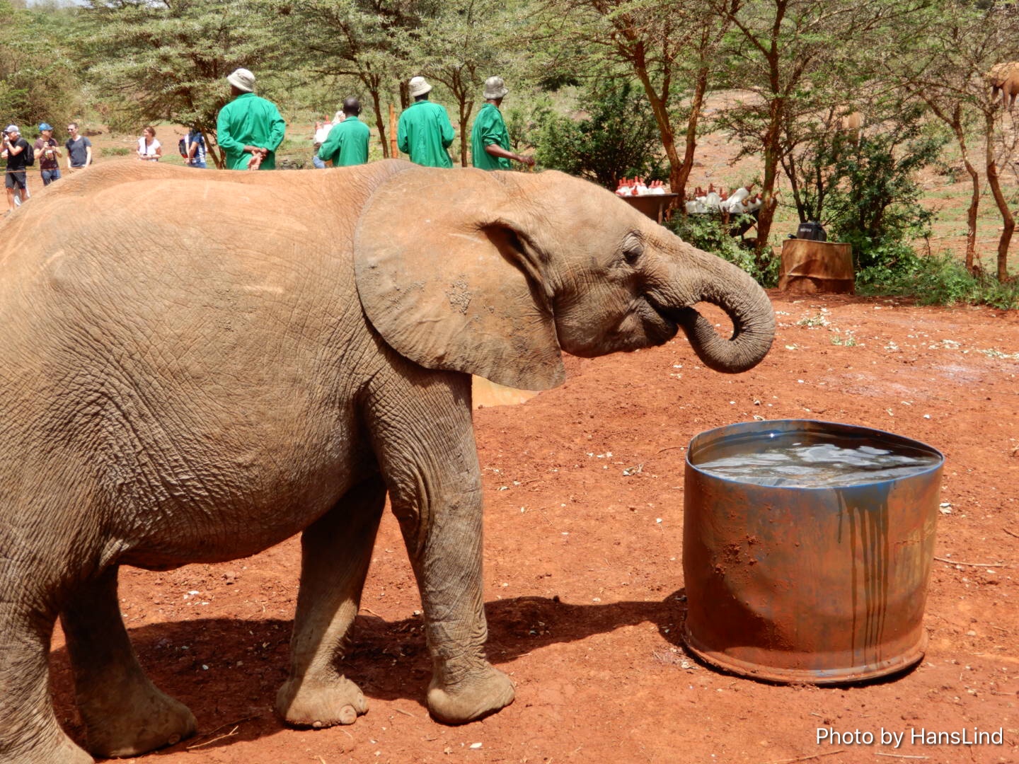 100CB1DB-625E-457D-9FF7-B190D6EEB052