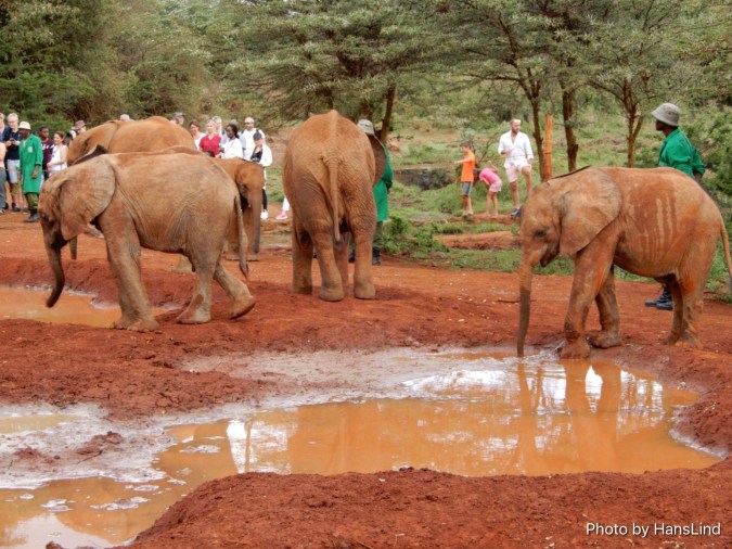 242BE347-5258-4318-96DF-770ACAC9ECF9