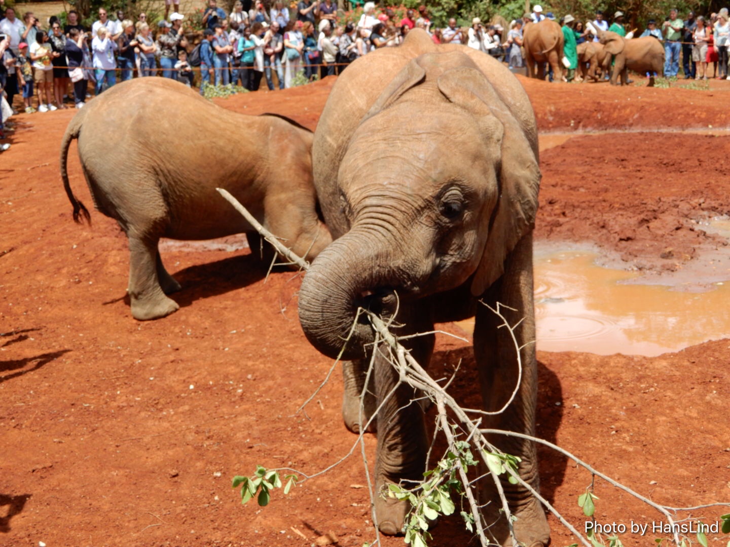 458B04F3-A2C0-4AE0-97D6-C20585A68E77