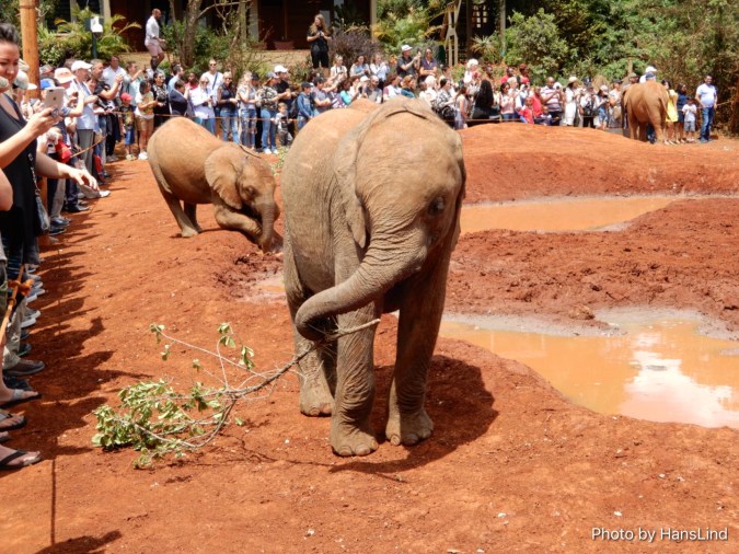 69125831-199A-4137-B489-D7ABD69A583B