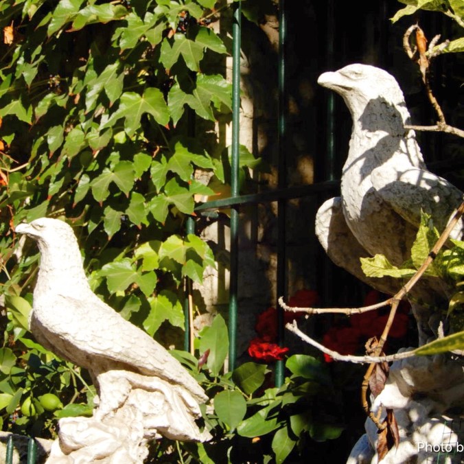 69CBA9FF-33F9-4335-B05A-BC0F45650BB2