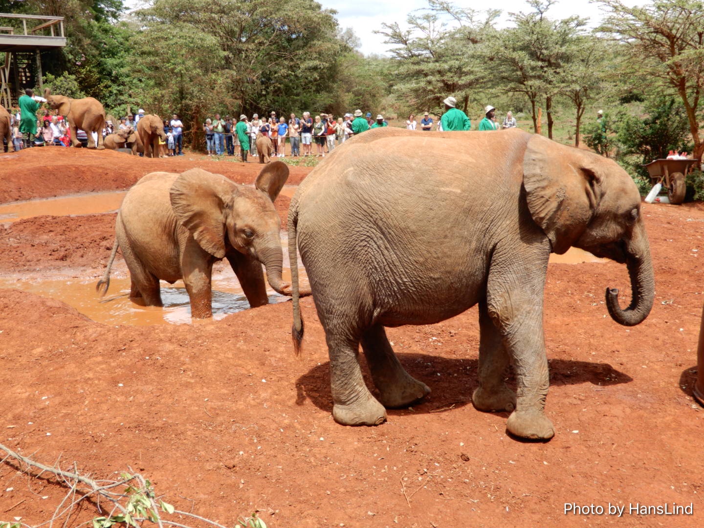 803CB4B9-7976-44EA-8AE2-9384BA6E1D77