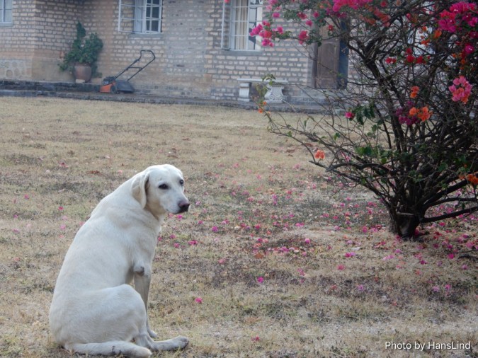 BDFE54BD-124D-408D-B14F-792C3F1BDBB0