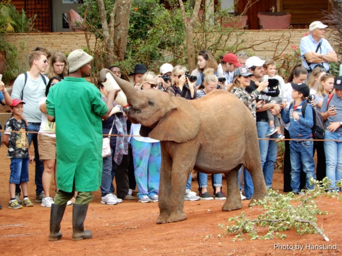 C4CB1A9C-7C5D-4043-9D77-012A3DF679EC