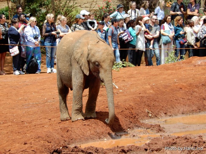 C824600B-7C8D-4BD4-9C89-FA2F3B94AB47