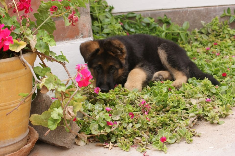 320360_10151151764627530_1683658129_n