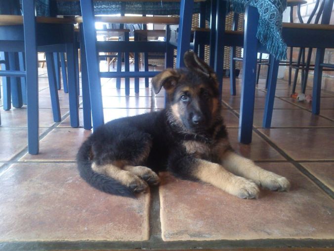 377890_10150464714617530_173616166_n