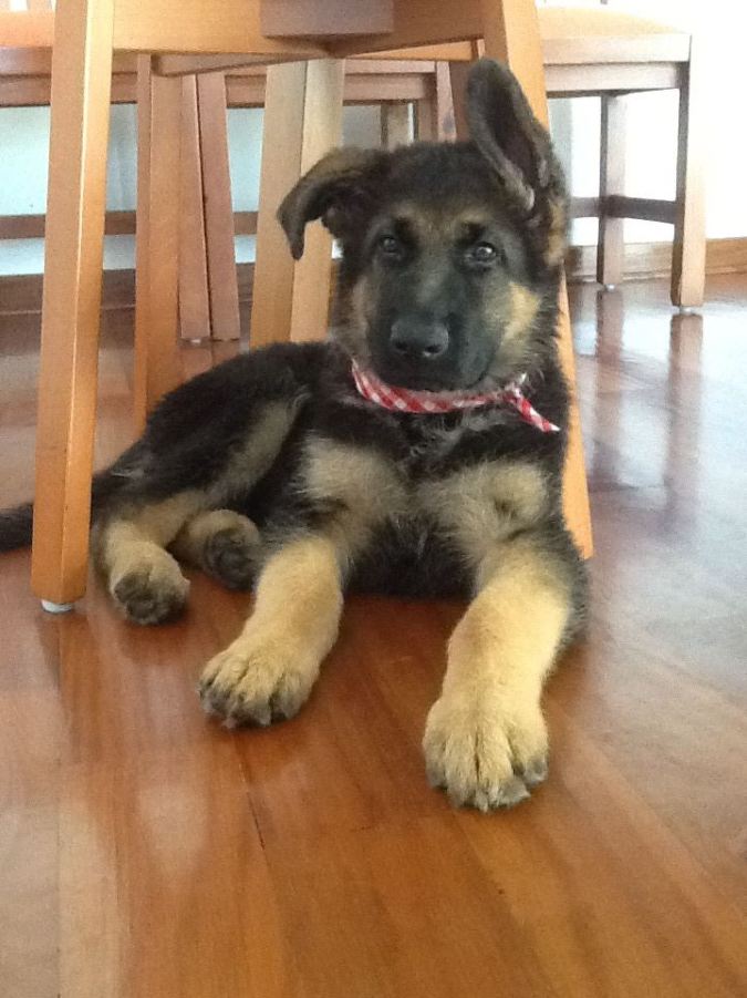 381384_10150480649327530_1899153246_n