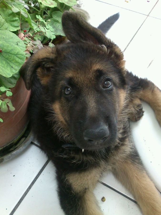 384943_10150470908527530_832691539_n