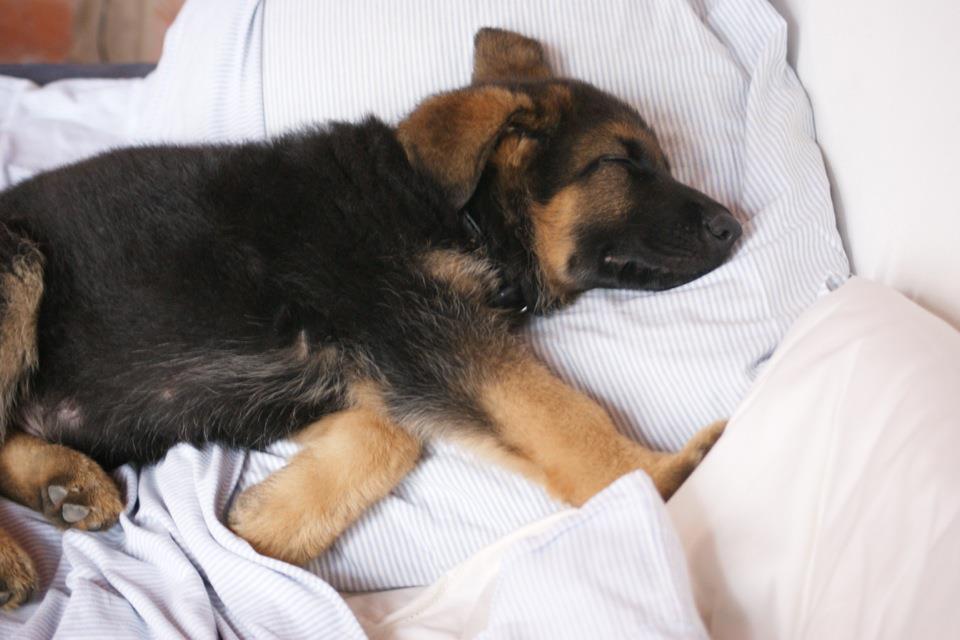 384968_10151155330227530_1018215999_n