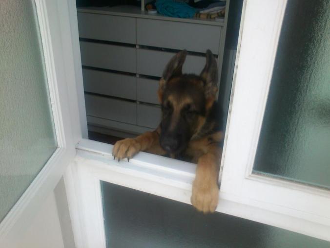 408055_10150537810417530_1501758257_n