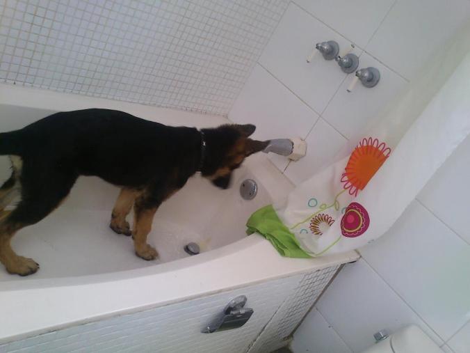 431250_10150547277037530_1934539186_n