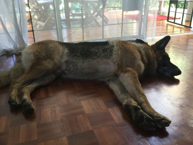 556AFC98-CAB2-4FFC-AF77-8B0A278CD30D