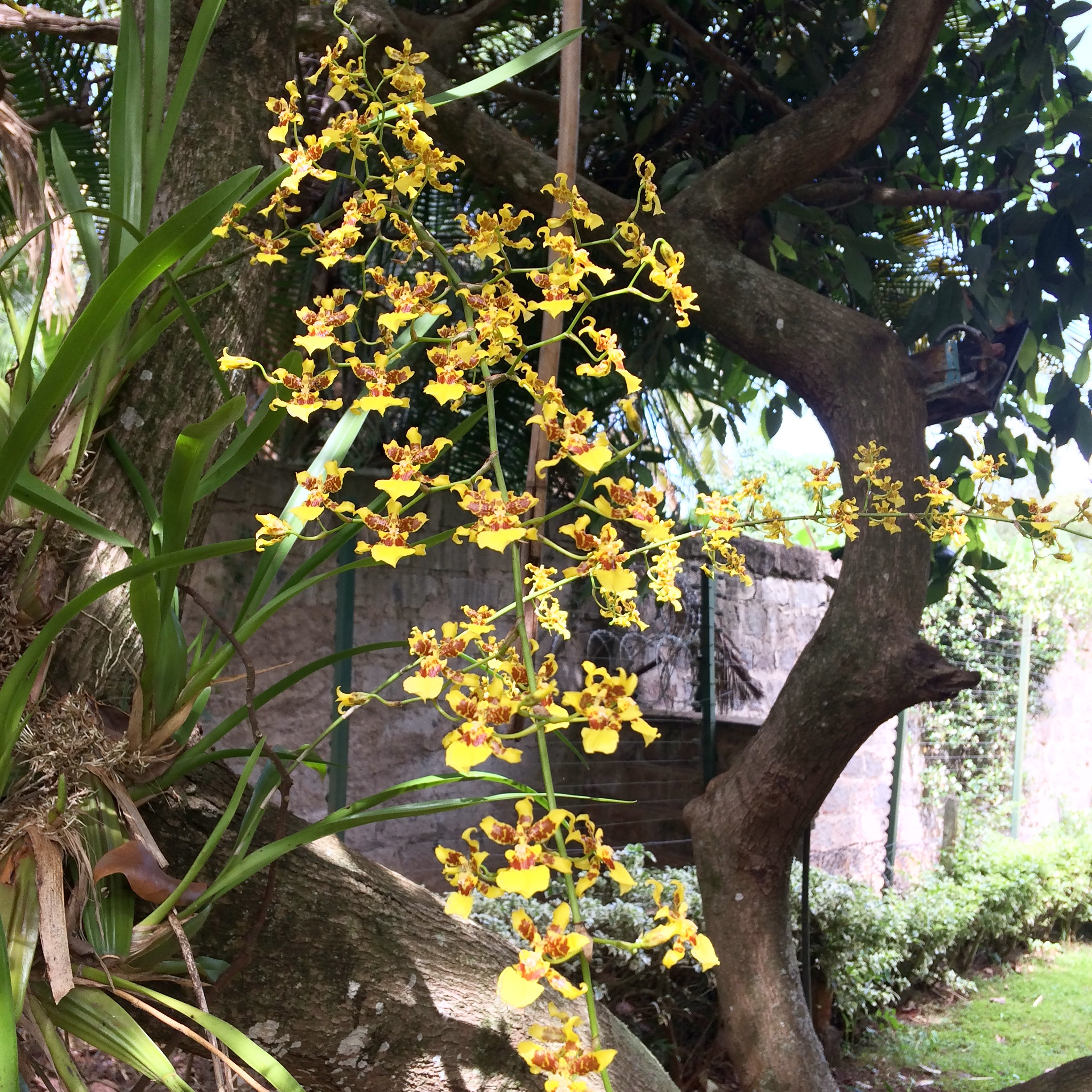 6FA3F33B-9E93-4337-9326-8D193739F1CE