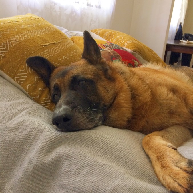 7B9CCAB6-0148-4705-9270-8B0F5B78E0FD