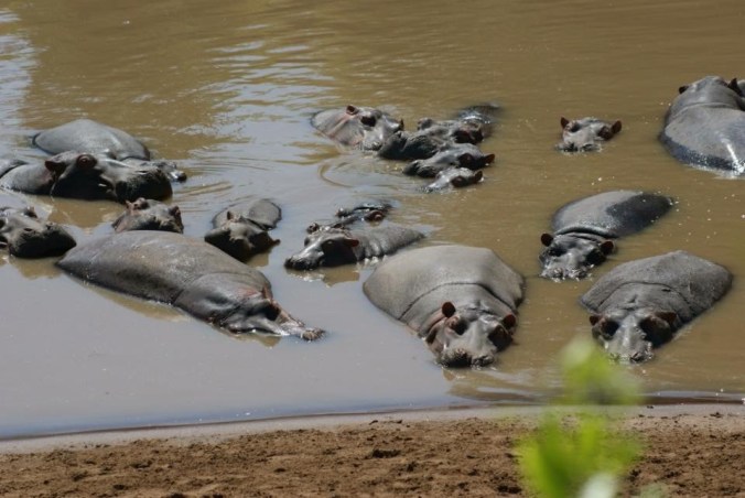 87206BD6-C11C-47E4-A013-1029EF11D479